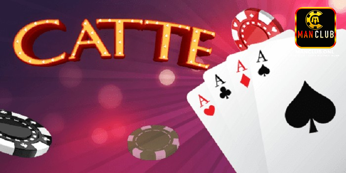 Bài Catte tại cổng game Manclub có gì mà thu hút đông đảo game thủ đến thế?