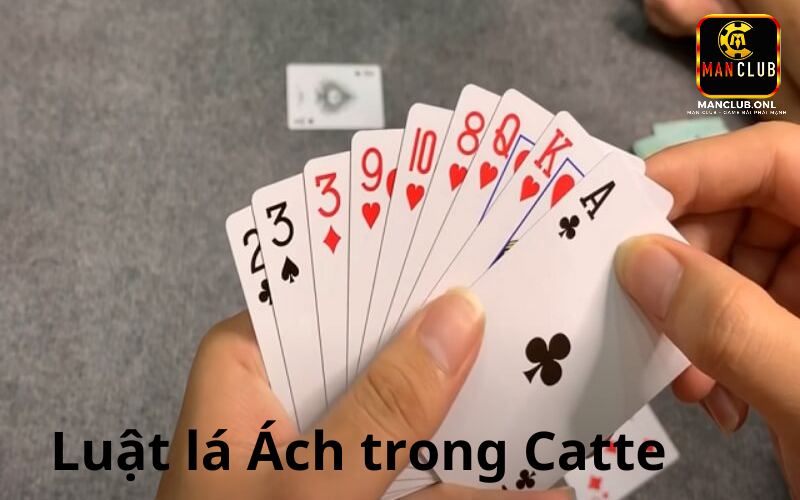 Luật lá Ách trong bài Catte được hiểu như thế nào?